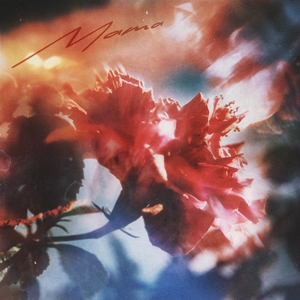 七色猫登录入口
