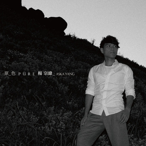 七色猫登录入口
