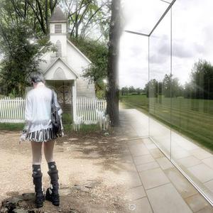 七色猫登录入口
