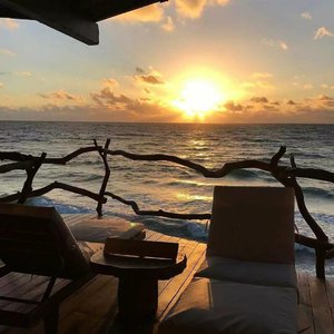 七色猫登录入口
