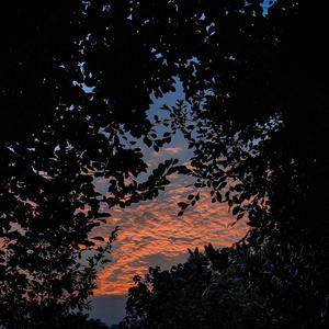 七色猫登录入口
