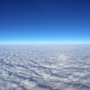 七色猫登录入口
